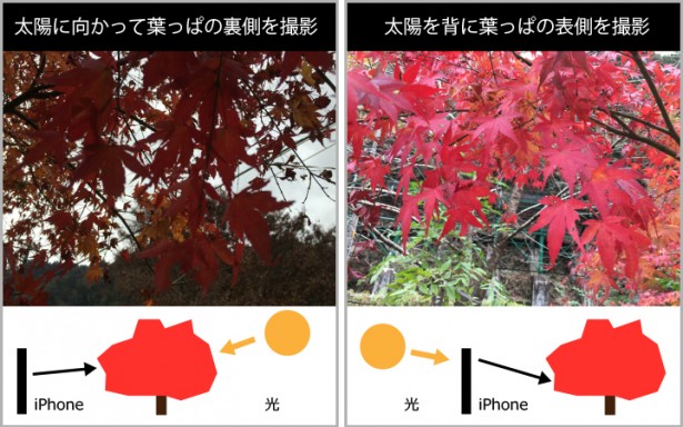 Iphone写真術 ポイントは 位置取りと明るさ調整 おもいでばこブログ