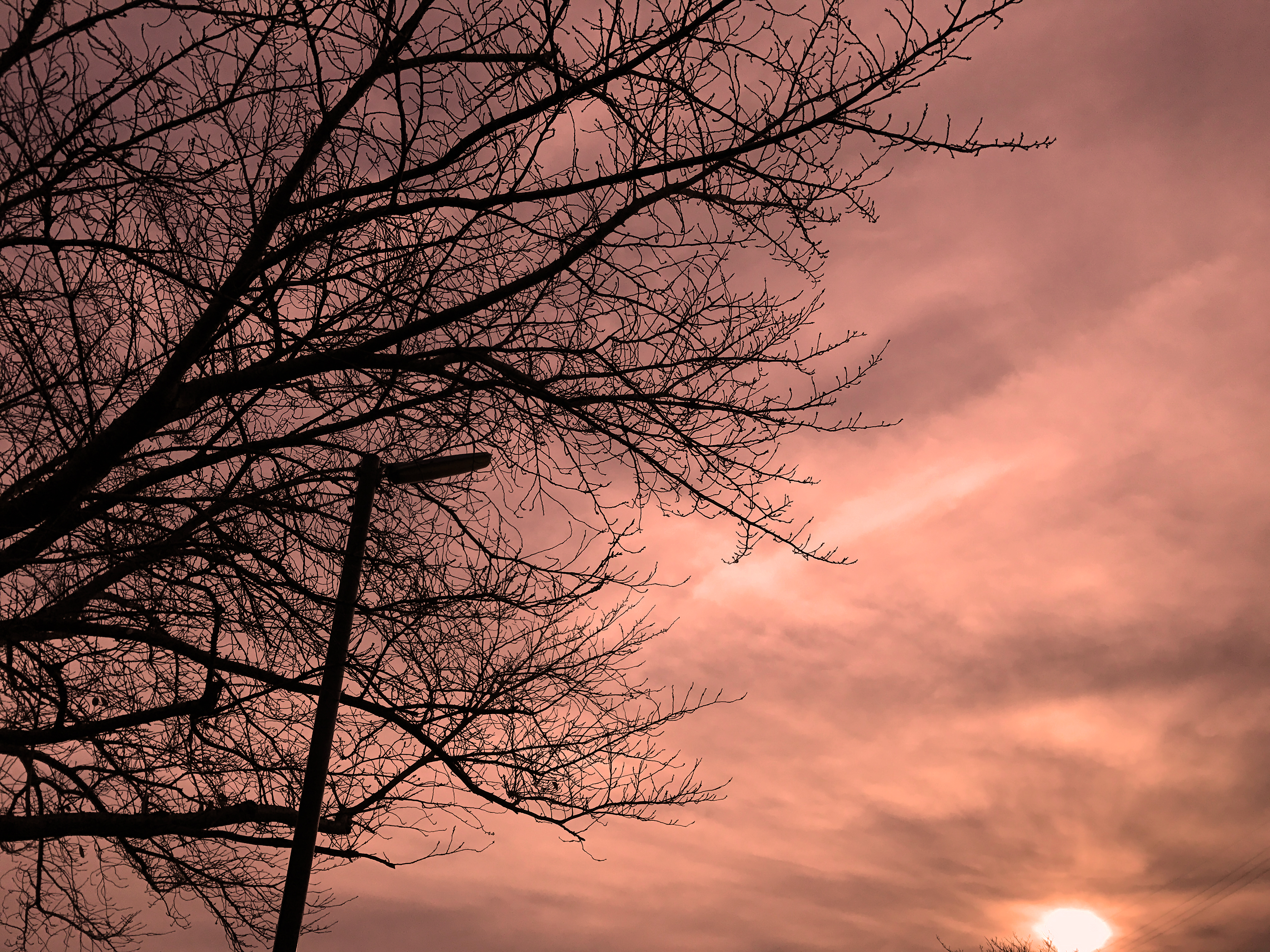Iphone写真術 太陽の逆光を活かしたシルエット写真を楽しもう おもいでばこブログ