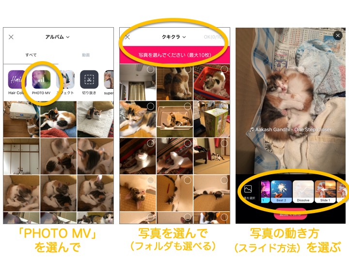加工でもっとかわいく 初心者でも簡単 ペット写真の楽しみ方 おもいでばこブログ